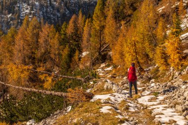 Ekim ayında Val Pesarina, Friuli-Venezia Giulia dağlarında yürüyüş.