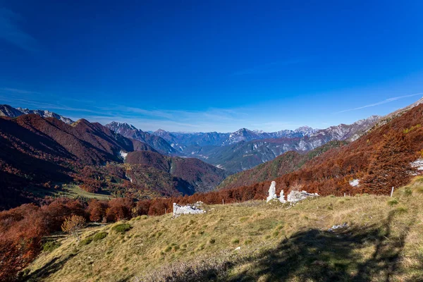 Día Otoño Con Colorido Follaje Bosque Val Resia Friuli Venezia — Foto de Stock