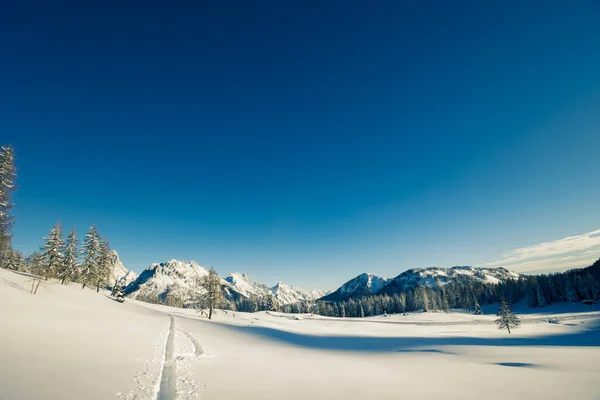 Karnische Alpen Een Grote Sneeuwval Udine Friuli Venezia Giulia Italië — Stockfoto