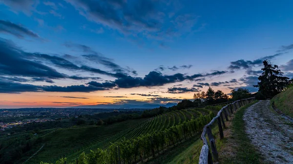 The sun goes down over the vineyards of Savorgnano del Torre, Friuli Venezia Giulia, Italy