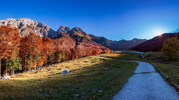 Jesienny Dzień Kolorowymi Liśćmi Lesie Val Resia Friuli Venezia Giulia — Zdjęcie stockowe