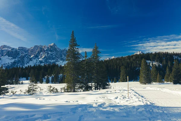 Solig Dag Dolomiti Sesto Trentino Alto Adige Italien — Stockfoto