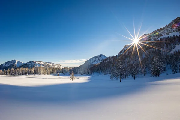 大きな雪の後にカルニックアルプス ウディネ州 フリウリ ヴェネツィア ジュリア州 イタリア — ストック写真