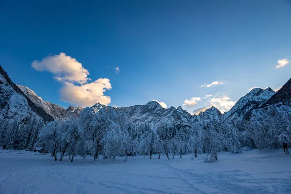 Frosty Zimní Západ Slunce Jezera Fusine Friuli Venezia Giulia Itálie — Stock fotografie