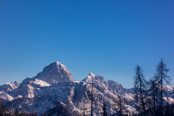 Winternachmittag Lussari Tarvisio Camporosso Friaul Julisch Venetien Italien — Stockfoto