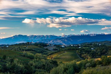Güneş, Collio, Friuli Venezia Giulia, İtalya 'nın üzüm bağlarının üzerinden batar.