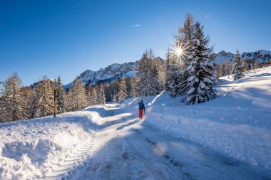 Büyük bir kar yağışı sonrası alaycı alpler. Udine ili, Friuli-Venezia Giulia bölgesi, İtalya