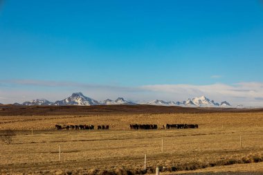 Güneş, İzlanda 'da kışın sonunda her zaman güzel bir atmosfer sağlar.