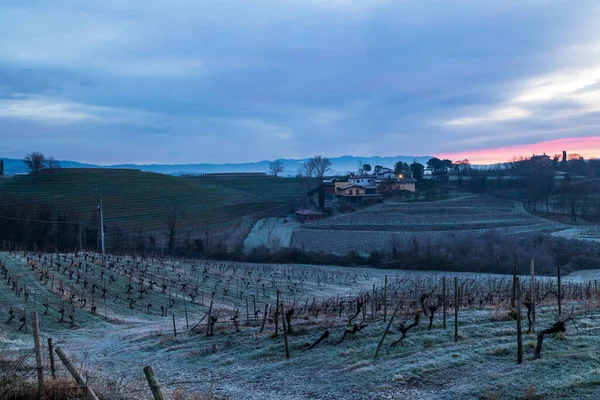 Foggy Winter Sunrise Collio Friulano Italy — Stock Photo, Image