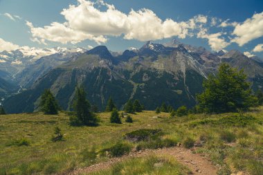 Gran Paradiso 'nun önündeki güzel vadi Bir yaz günü