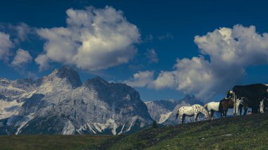 Sesto, Trentino Alto-Adige, İtalya Dolomiti 'sinde güneşli bir gün