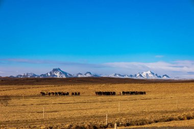 Güneş, İzlanda 'da kışın sonunda her zaman güzel bir atmosfer sağlar.