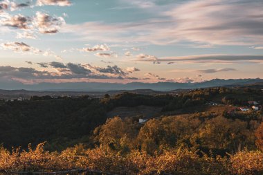 Güneş, Collio, Friuli Venezia Giulia, İtalya 'nın üzüm bağlarının üzerinden batar.