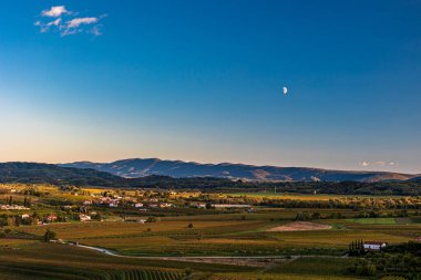 Güneş, Collio, Friuli Venezia Giulia, İtalya 'nın üzüm bağlarının üzerinden batar.