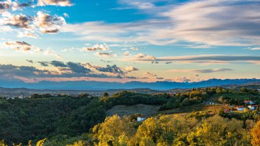 Güneş, Collio, Friuli Venezia Giulia, İtalya 'nın üzüm bağlarının üzerinden batar.