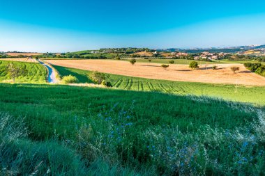 Numana köyünden Marş 'ın tarlalarında gün doğumu