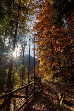 Fusine gölleri yakınında sonbahar günü, Friuli-Venezia Giulia, İtalya