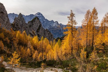 Fusine gölleri yakınında sonbahar günü, Friuli-Venezia Giulia, İtalya