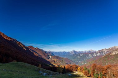 İtalya 'da Val di Resia, Friuli-Venezia Giulia ormanlarında renkli yapraklarla dolu bir sonbahar günü.