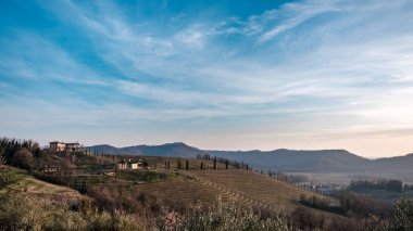 Güneş Friuli Venezia-Giulia üzüm bağlarından batıyor.