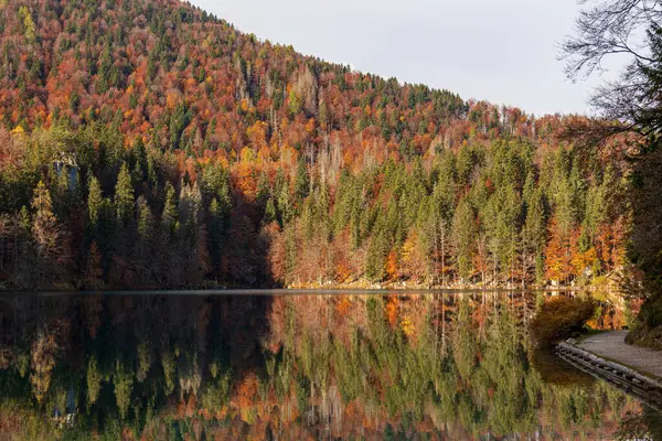 Fusine gölleri yakınında sonbahar günü, Friuli-Venezia Giulia, İtalya