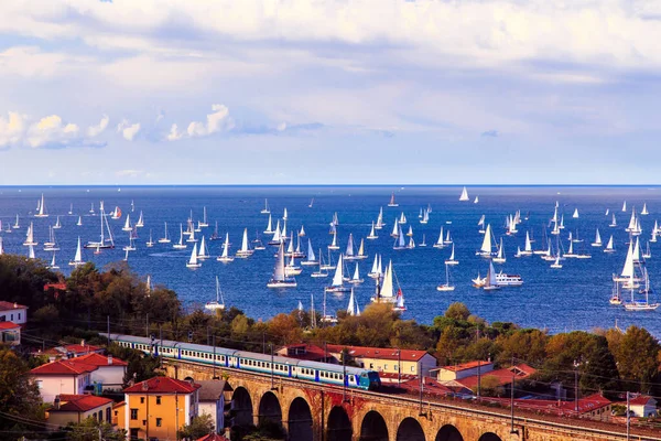 one of the biggest regatta in the world with more than 2100 boats: the Barcolana