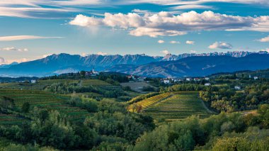 Güneş, Collio, Friuli Venezia Giulia, İtalya 'nın üzüm bağlarının üzerinden batar.