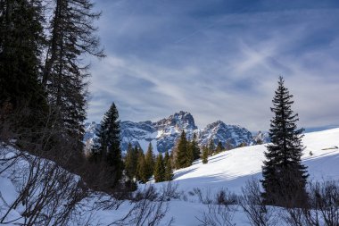 Sesto, Trentino Alto-Adige, İtalya Dolomiti 'sinde güneşli bir gün