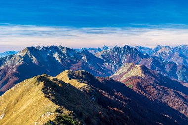 İtalya 'da Val di Resia, Friuli-Venezia Giulia ormanlarında renkli yapraklarla dolu bir sonbahar günü.