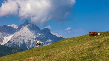 Sesto, Trentino Alto-Adige, İtalya Dolomiti 'sinde güneşli bir gün