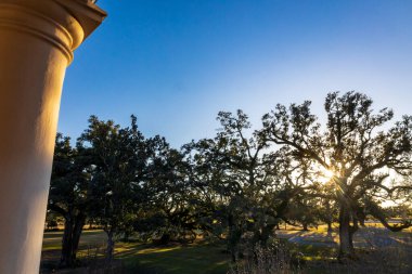 Oak Alley Çiftliği, New Orleans, Louisiana Güzel bir günbatımında