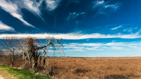 Brazos Bend State Park Texas Een Prachtige Zonnige Ochtend Stockfoto