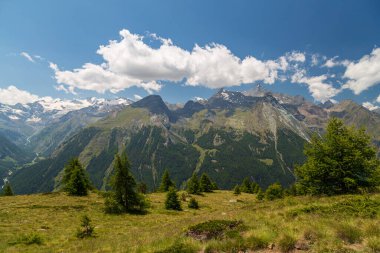 Gran Paradiso 'nun önündeki güzel vadi Bir yaz günü