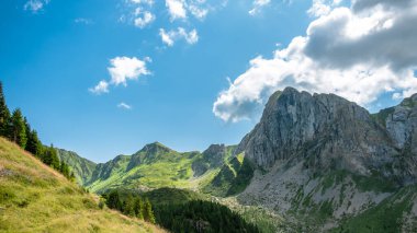 İtalya 'nın Friuli Venezia-Giulia Alplerinde yaz günü