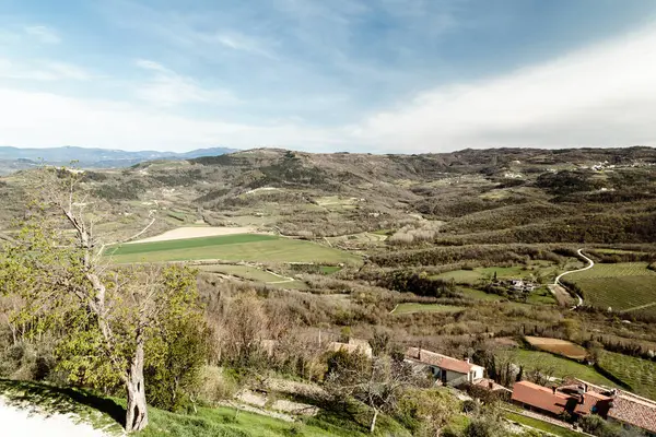 Der Frühling Kommt Auf Die Felder Kroatiens Stockbild