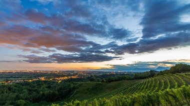 Güneş, Savorgnano del Torre, Friuli Venezia Giulia, İtalya 'nın üzüm bağlarından batıyor.