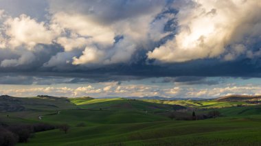Tuscany 'nin tarlaları güzel bir bahar gününde