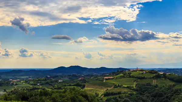 Italiaanse Wijngaarden Aan Grens Met Slovenië Een Zomermiddag Stockfoto