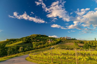 Rosazzo, Udine, Friuli Venezia-Giulia üzüm bağlarında renkli günbatımı
