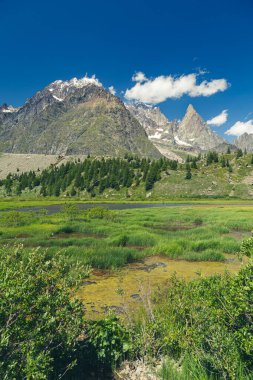 Monte Bianco grubunun güzel Alpleri