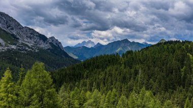 Summer day in the alps of Friuli-Venezia Giulia, Italy
