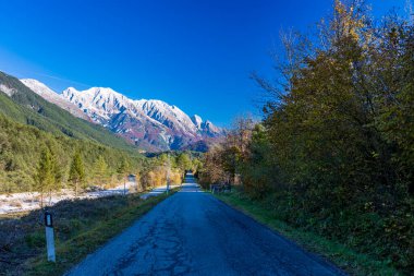 İtalya 'da Val di Resia, Friuli-Venezia Giulia ormanlarında renkli yapraklarla dolu bir sonbahar günü.