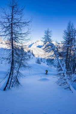 Carnic alps after a big snowfall. Udine province, Friuli-Venezia Giulia region, Italy clipart