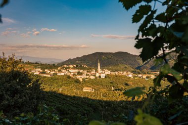 Güneş, Prosecco şarabı tarlalarında batıyor.