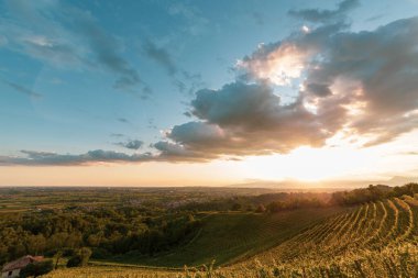 The sun goes down over the vineyards of Savorgnano del Torre, Friuli Venezia Giulia, Italy clipart