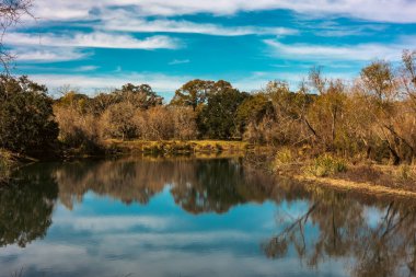 Brazos Bend State Park, Teksas, güneşli bir sabah