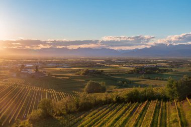 Colorful sunset in the vineyards of Rosazzo, Udine, Friuli Venezia-Giulia clipart