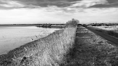 Arkasında karlı dağlar olan antik Barbana Mabedi.