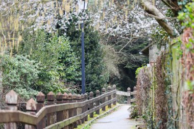 Parktaki güzel doğa manzarası