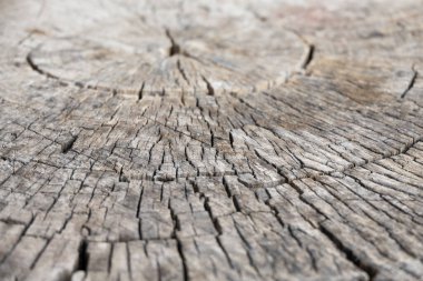 Bölüm içinde eski ahşap dokusu